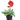 Gerbera Sweet Love Red