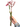 Plumeria Mex Pink Single