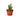 Fairy Castle Cactus