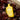 Organic Bio Insecticide