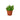 Nettle 'Baby's Tear' - 4" Pot - NURSERY POT ONLY