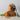 Plant Food - Arber